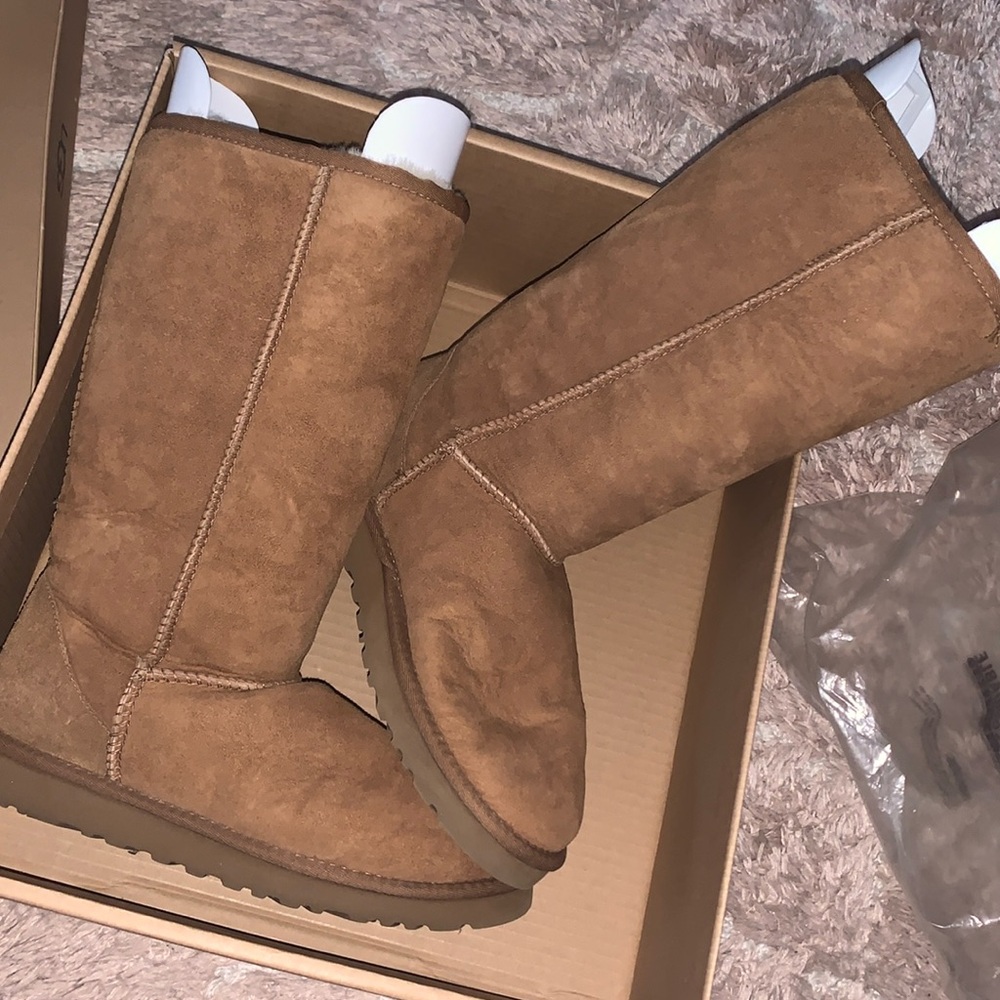 NWT Women's Chestnut Tall Ugg Boots